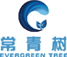 常青树